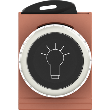  BOUTON POUSSOIR - NON LUMINEUX 