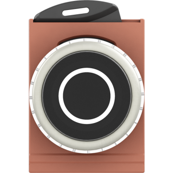  BOUTON POUSSOIR - NON LUMINEUX 