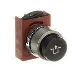  BOUTON POUSSOIR - NON LUMINEUX 