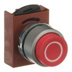  BOUTON POUSSOIR - NON LUMINEUX 