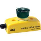  ARRT D'URGENCE SMILE 11 SA TIN 