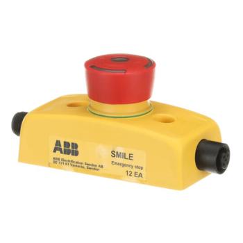  ARRT D'URGENCE SMILE 12 EA 