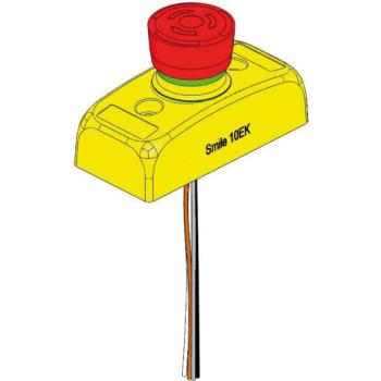  ARRT D'URGENCE SMILE 10 EK 