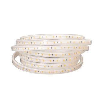  LEDY CHANTIER 4000K 10M 