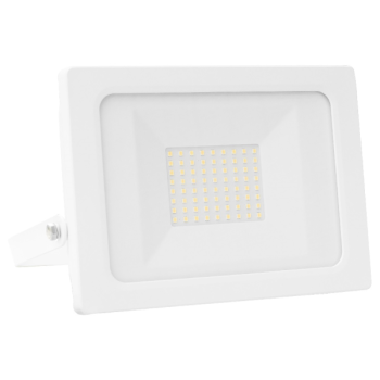  BAGAD PROJECTEUR 50W CTC 