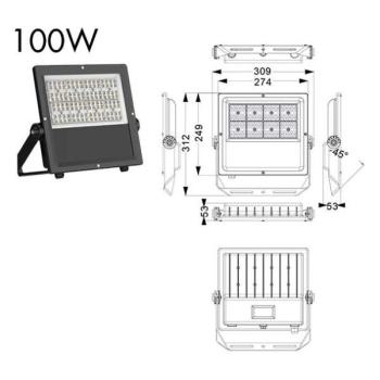  PROJECTEUR ROCK SYMETRIQUE 100 