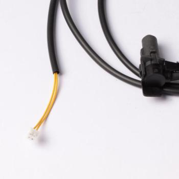  SONDE DE TEMPERATURE BD1 