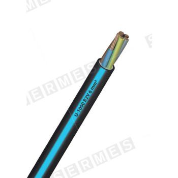  U 1000 R2V 4X6     C100 