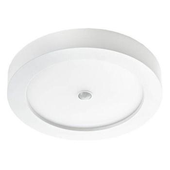  BJORK APPARENT RD 12W CCT DETI 