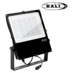  CAMUS ASYM NOIR 150W 840 DALI 