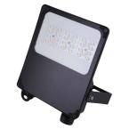  CAMUS II ASYM NOIR 50W CCT 