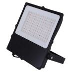  CAMUS II ASYM NOIR 300W CCT 