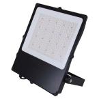  CAMUS II ASYM NR 150W CCT DALI 