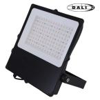  CAMUS II ASYM NR 200W CCT DALI 