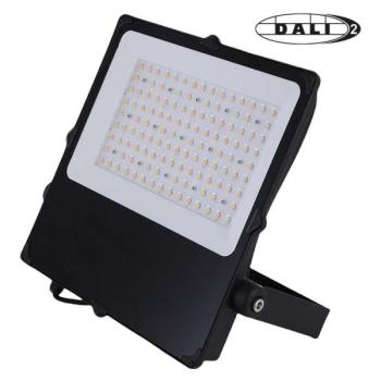  CAMUS II ASYM NR 200W CCT DALI 