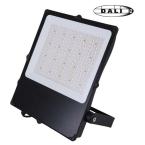  CAMUS II ASYM NR 300W CCT DALI 