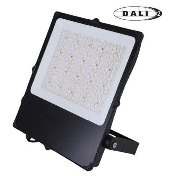  CAMUS II ASYM NR 300W CCT DALI 