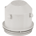  TTE DE PIEUVRE D85 LISSE 