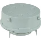  GDE TTE DE PIEUVRE D145 LISSE 