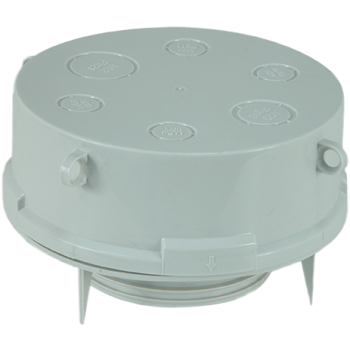  GDE TTE DE PIEUVRE D145 LISSE 