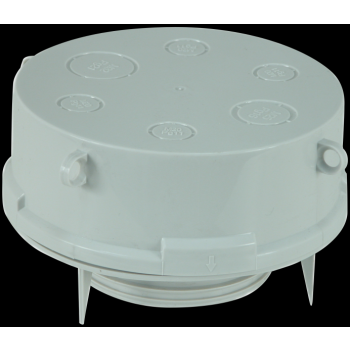  GDE TTE DE PIEUVRE D145 LISSE 