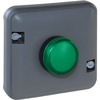  OXXO VOYANT VERT COMPOS GRIS 