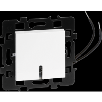  VV LUM/TEMOIN (VOYANT ROUGE) 