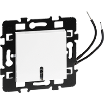  BP LUMINEUX OU TEMOIN BLEU 