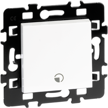  INTERRUPTEUR TEMPORISE 