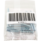  LOT DE 10 VIS LONGUES (40MM) 