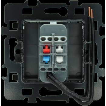  VV LUMINEUX OU TEMOIN ANTHR. 