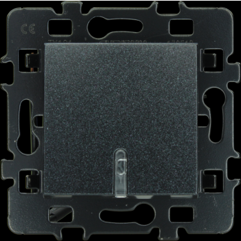  BP LUMINEUX OU TEMOIN ANTHR. 