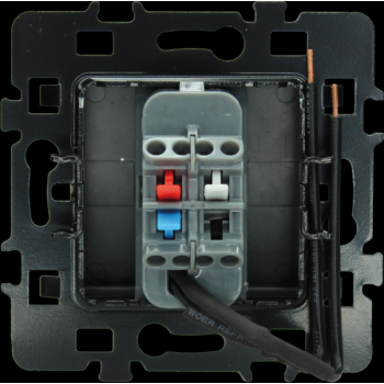  BP LUMINEUX OU TEMOIN ANTHR. 