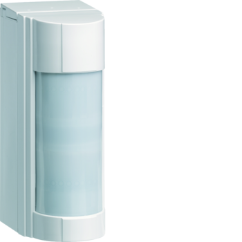  D�t mvt ext�rieur antimasque 