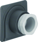  cubyko Entr�e pr presse �toupe 