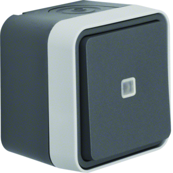  cubyko VV t�moin saillie gris 