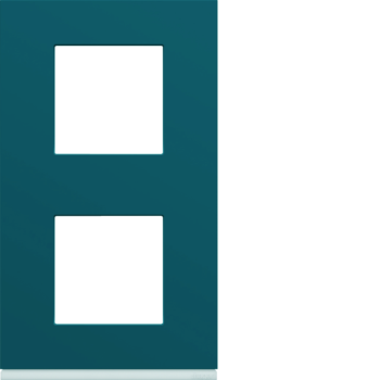  Plaque plastique 2P V71 peacoc 