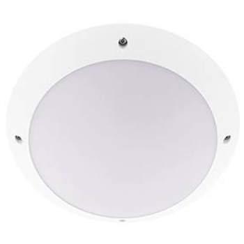  MINI TIMY SENSOR BLANC 