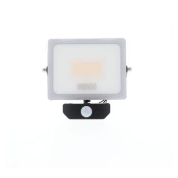  CURTIS SENSOR PLUS 30W ANTH 