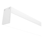  PR125 20X30X2000MM BLANC MAT 