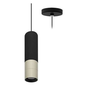  AUREA P NOIR - CHAMP. 