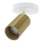  OKTO 1 C GU10 BLANC - CHAMP. 