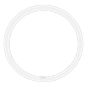  LED V T9c EM40 865 G10q 24W 