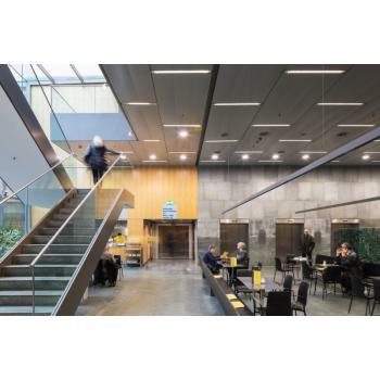  DL ALU 200 25W 6500K IP44 