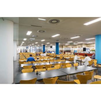  DL ALU 200 25W 4000K IP44 DALI 