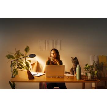  HCL WF PANAN DESK CLIP TWindBK 