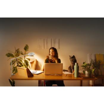  HCL WF PANAN DESK CLIP TWindWT 