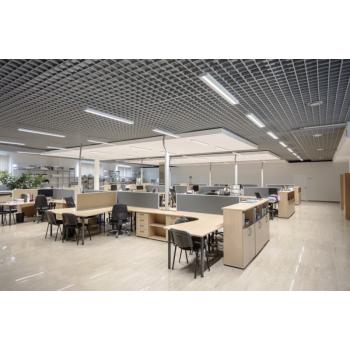  LN INDV D 1200 33W/3000K 