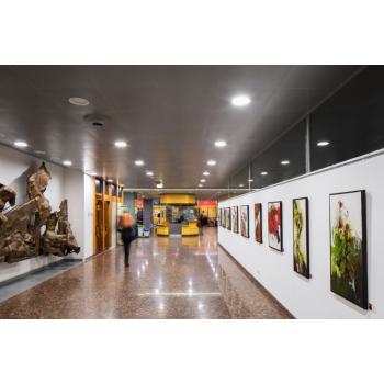  DL LED 14W/3000K DALI 