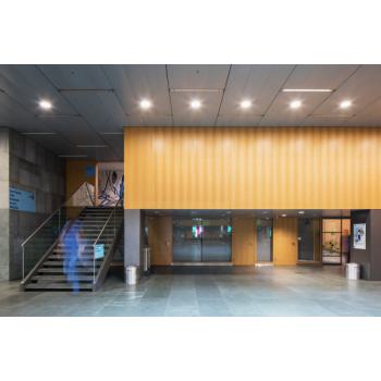  DL ALU DN200 35W/3000K BLC EM 